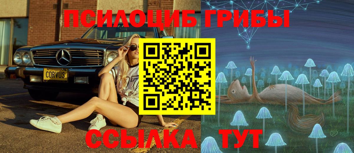 Клин  Псилоцибиновые грибы мухоморы  Вход с VPN  Галлюциногенные грибы мухоморы 