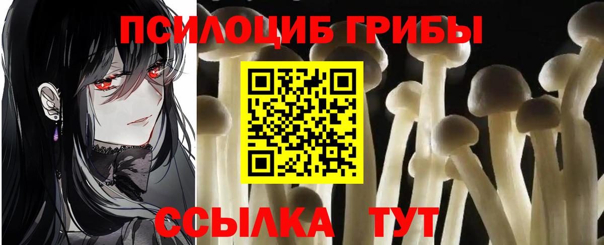 Галлюциногенные грибы мухоморы Клин